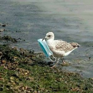 Meet your Posher, Lee ann